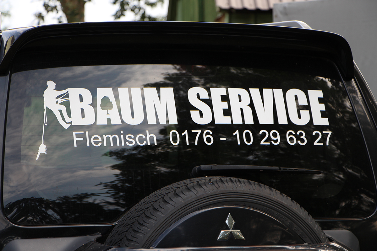 BaumService